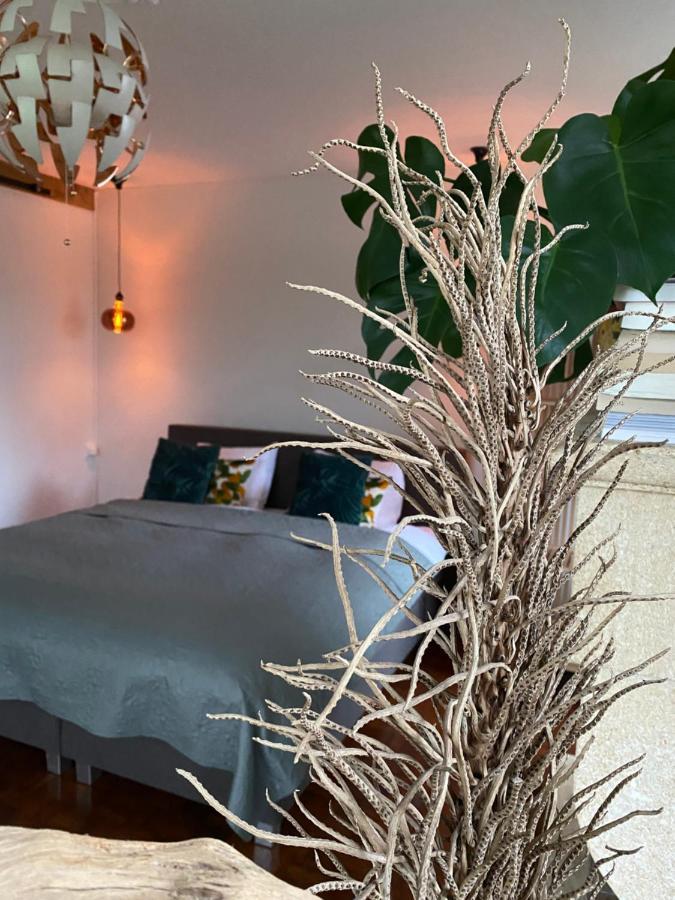 B&B La Hacienda Valkenburg aan de Geul エクステリア 写真